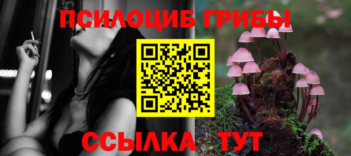 Галлюциногенные грибы MAGIC MUSHROOMS  Вход с VPN  Старая Русса  наркота  Псилоцибиновые грибы мицелий 