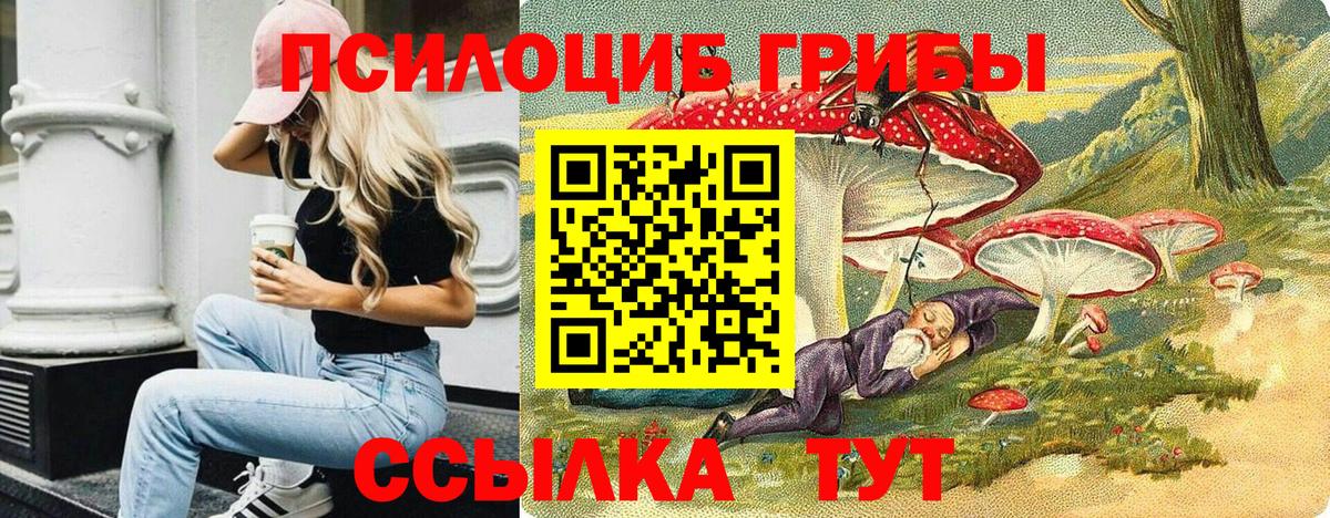 Галлюциногенные грибы мицелий Старая Русса